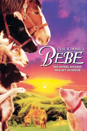 Cesur Domuz Bebe (1995)