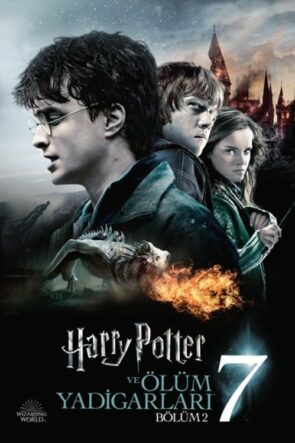 Harry Potter ve Ölüm Yadigârları: Bölüm 2 (2011)