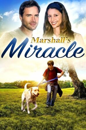 Marshall’s Miracle (2015)