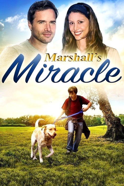 Marshall’s Miracle (2015)