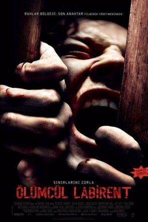 Ölümcül Labirent (2019)