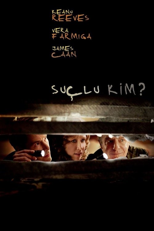 Suçlu Kim? (2010)