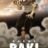 Baki Hanma : 2.Sezon 8.Bölüm izle