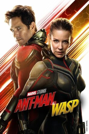 Ant-Man ve Wasp (2018)