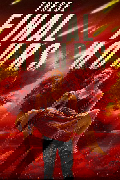 Bu Son Saatler (2014)