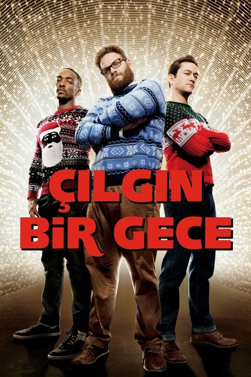 Çılgın Bir Gece (2015)