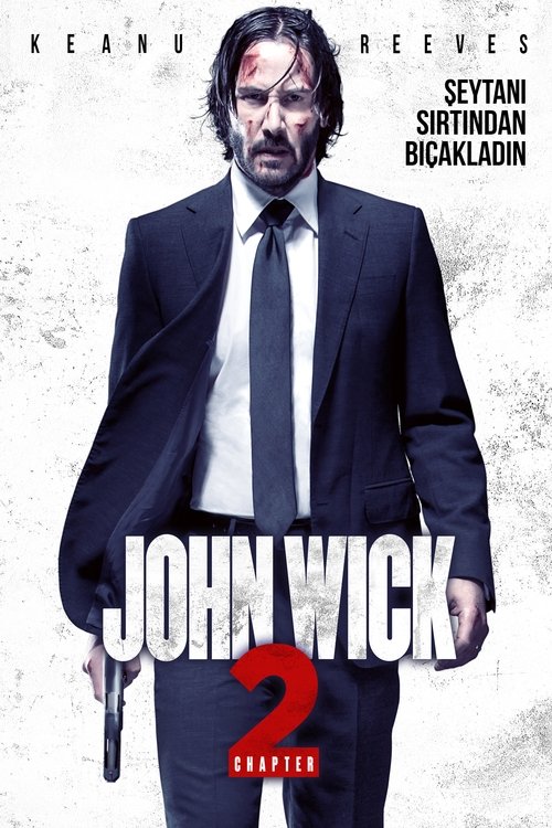John Wick: Chapter 2 (2017)