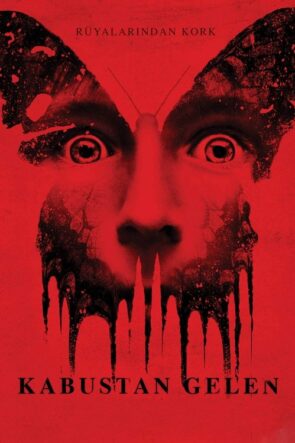 Kabustan Gelen (2016)