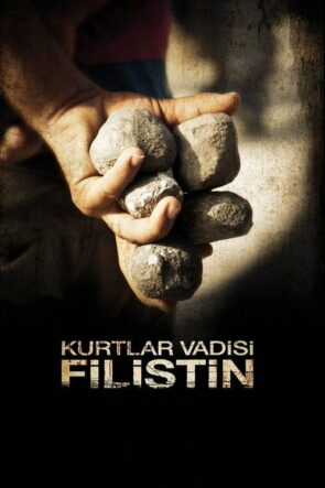 Kurtlar Vadisi: Filistin (2011)