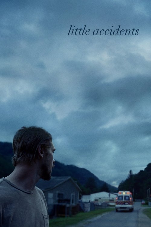 Little Accidents (2014)