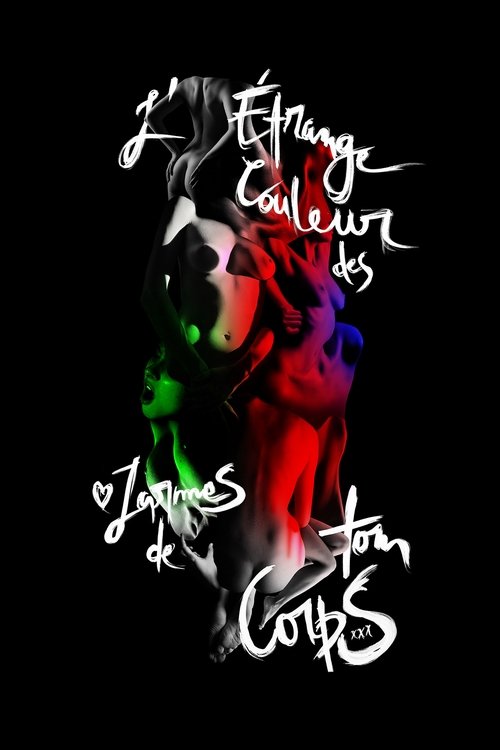 L’Étrange Couleur des larmes de ton corps (2013)