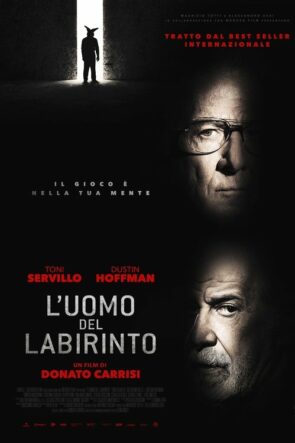 L’uomo del labirinto (2019)
