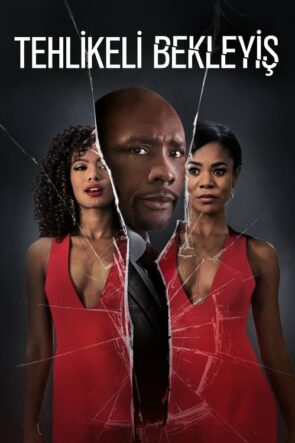 Tehlikeli Bekleyiş (2016)