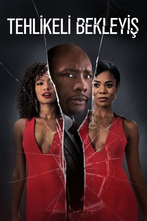 Tehlikeli Bekleyiş (2016)