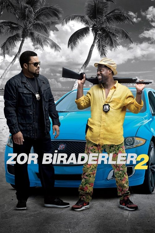 Zor Biraderler 2 (2016)