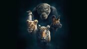 Dynasties izle