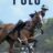 Polo : 1.Sezon 3.Bölüm izle