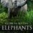 Secrets of the Elephants : 1.Sezon 4.Bölüm izle