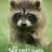 The Secret Lives of Animals : 1.Sezon 2.Bölüm izle