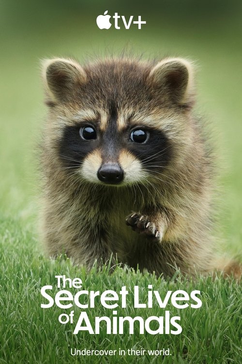 The Secret Lives of Animals : 1.Sezon 2.Bölüm
