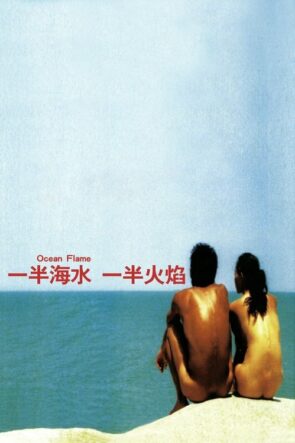 一半海水一半火焰 (2008)