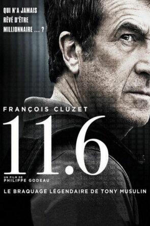 11.6 (2013)