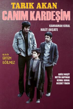 Canım Kardeşim (1973)