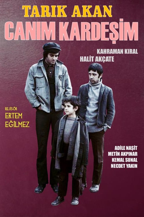 Canım Kardeşim (1973)