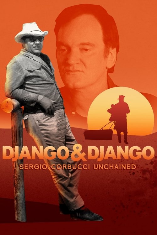 Django ve Django (2021)