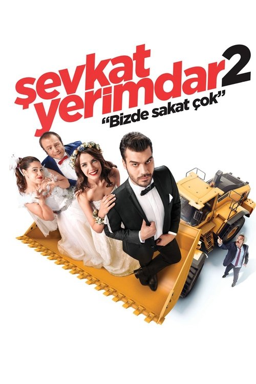 Şevkat Yerimdar 2 (2016)