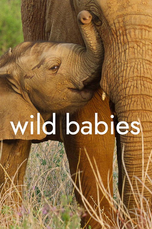 Wild Babies : 1.Sezon 4.Bölüm