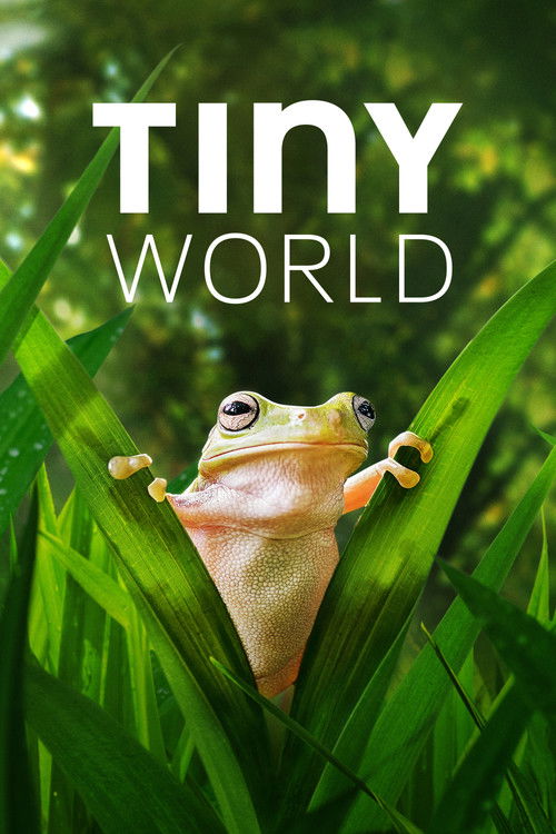 Tiny World : 2.Sezon 3.Bölüm