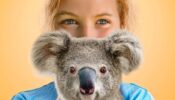 Izzy’s Koala World izle